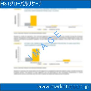 市場と産業調査レポートのイメージ